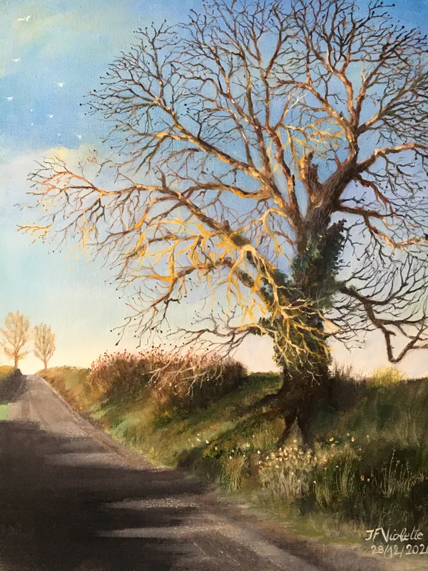 Route de la Comblaise