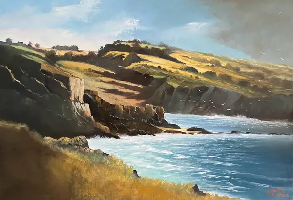 Sur la route de Beuzec Cap Sizun